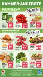 Gazetka promocyjna Wasgau - Gazetka - ważna od 21.09 do 21.09.2024 - strona 24 - produkty: angebot, angebote, auer, Bau, Bauer, beutel, bio, blätterteig, braten, Brei, brot, brötchen, butter, drucker, eis, elle, Engel, filet, Garten, grünländer, Kaiser, Käse, kerze, Kinder, latte, mehl, Müller, Nimm 2, paprika, paprika rot, Plunder, reis, rind, rinder, rinderbraten, rwe, salat, Schal, Schale, schoko, schwein, schweine, schweinefilet, Spitzpaprika, tee, Ti, tomate, tomaten, wein, weine, weizenmehl, würfel