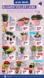 Gazetka promocyjna Aldi Nord - Von Montag - Gazetka - ważna od 11.05 do 11.05.2024 - strona 18 - produkty: Anhänger, blume, blumen, chrysanthemen, eimer, eis, Germ, gin, hortensie, Kalanchoe, kulturtopf, pflanze, pflanzen, reis, Ria, rosen, Tasche, Ti, tiefpreis, topf, tragetasche, übertopf, Vase, ZTE