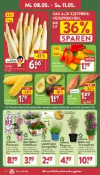 Gazetka promocyjna Aldi Nord - Von Montag - Gazetka - ważna od 11.05 do 11.05.2024 - strona 28 - produkty: aldi, angebot, angebote, auer, avocado, avocados, eis, kartoffel, kartoffeln, kübelpflanzen, kulturtopf, lavendel, mais, paprika, pflanze, pflanzen, phalaenopsis, reis, Ria, Schal, Schale, snack, spargel, Süßkartoffeln, Ti, topf, zucker, zuckermais