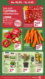 Gazetka promocyjna Aldi Nord - Von Montag - Gazetka - ważna od 11.05 do 11.05.2024 - strona 3 - produkty: aldi, angebot, beutel, bio, datteltomaten, dünger, eis, gin, HP, korb, kulturtopf, LG, möhren, paprika, paprika rot, pflanze, pflanzen, reis, Schal, Schale, speisemöhren, tablet, tablett, Tablette, Ti, tomate, tomaten, topf, trolli, ZTE