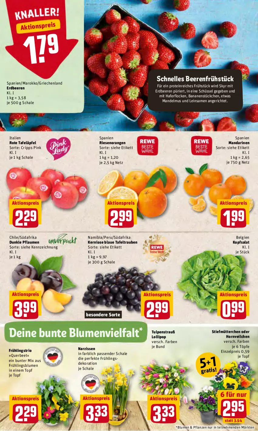 Aktueller Prospekt Rewe - Prospekte - von 28.02 bis 06.03.2022 - strona 2 - produkty: aktionspreis, banane, bananen, beere, beeren, blume, blumen, dekoration, eis, elle, erdbeere, erdbeeren, hafer, haferflocken, kopfsalat, LG, mandarine, mandarinen, mandel, Mandelmus, Narzissen, orange, orangen, pflanze, pflanzen, pflaume, pflaumen, reis, rote tafeläpfel, salat, Schal, Schale, schüssel, Skyr, tafeläpfel, tafeltrauben, Ti, topf, trauben