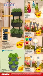 Gazetka promocyjna Penny - Prospekte - Gazetka - ważna od 16.04 do 16.04.2022 - strona 22 - produkty: akku, batterie, edelstahl, eier, eis, Garten, kräuter, lack, Lacke, Pflanztopf, reis, Schal, Solarfackel, Ti, topf, Untersetzer