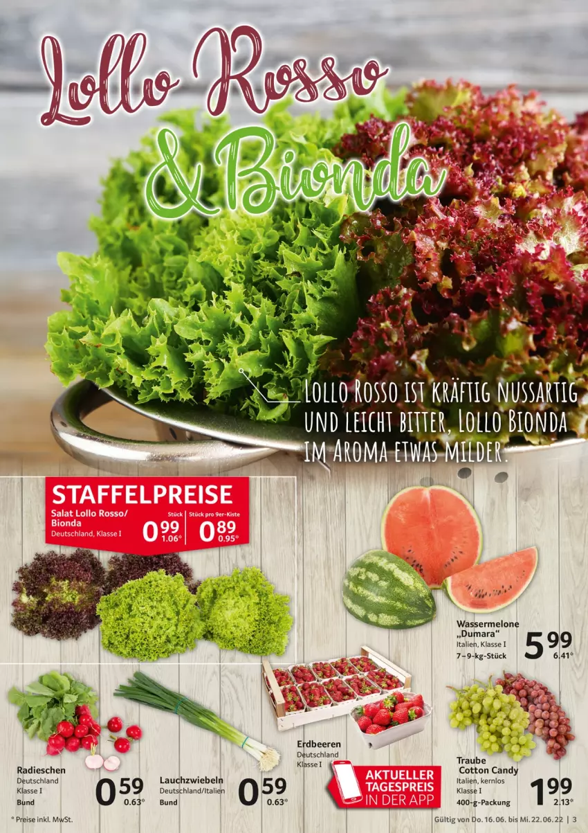 Aktueller Prospekt Selgros - Food - von 16.06 bis 22.06.2022 - strona 3 - produkty: beere, beeren, eis, erdbeere, erdbeeren, Lauchzwiebel, lauchzwiebeln, melone, radieschen, reis, wasser, wassermelone, zwiebel, zwiebeln