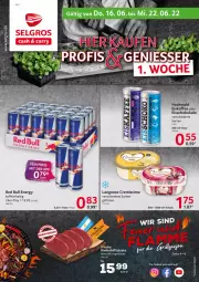 Gazetka promocyjna Selgros - Food - Gazetka - ważna od 22.06 do 22.06.2022 - strona 1 - produkty: Cien, cremissimo, eis, eiskaffee, Eisschokolade, hochwald, kaffee, langnese, langnese cremissimo, LG, red bull, Schal, Schale, schoko, schokolade, sim, Ti