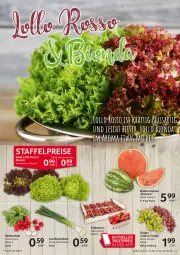 Gazetka promocyjna Selgros - Food - Gazetka - ważna od 22.06 do 22.06.2022 - strona 3 - produkty: beere, beeren, eis, erdbeere, erdbeeren, Lauchzwiebel, lauchzwiebeln, melone, radieschen, reis, wasser, wassermelone, zwiebel, zwiebeln