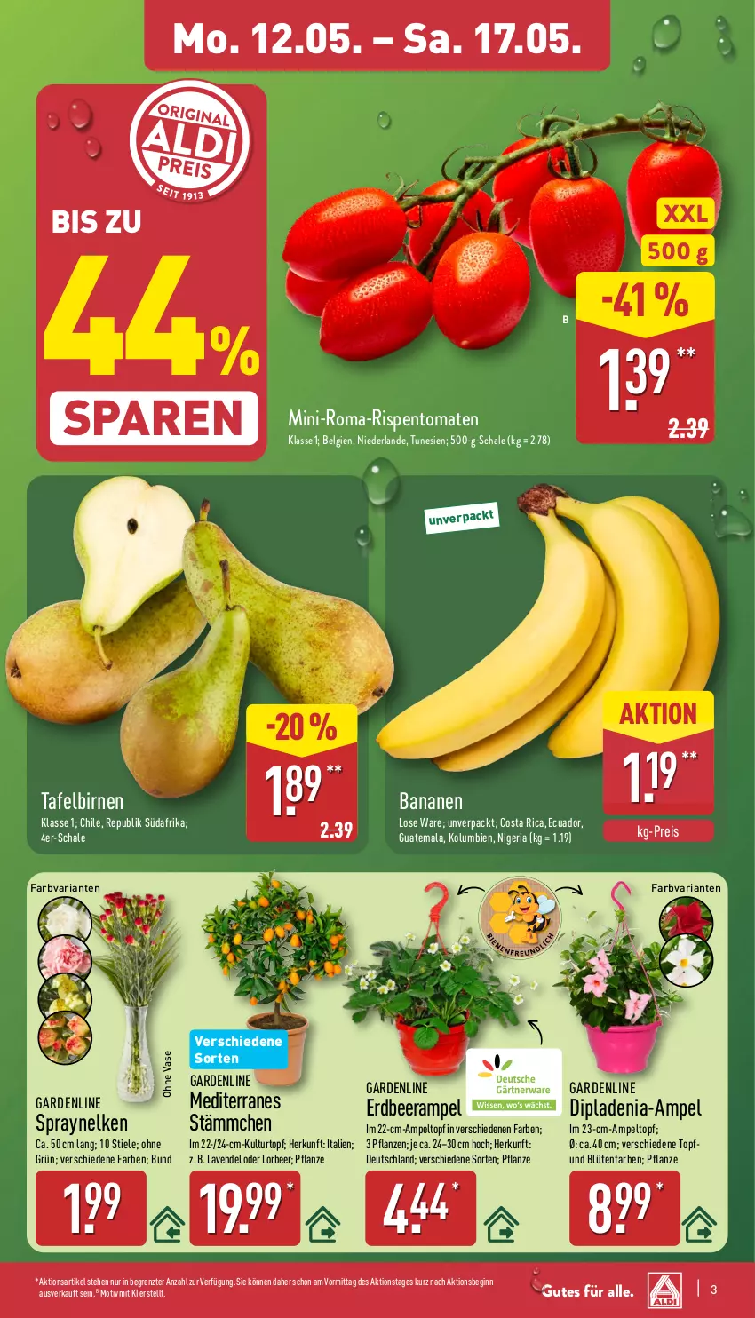 Aktueller Prospekt Aldi Nord - Von Montag - von 12.05 bis 17.05.2025 - strona 3 - produkty: banane, bananen, Birnen, Blüte, Brei, dip, dipladenia, eis, gin, kulturtopf, lavendel, LG, pflanze, pflanzen, reis, Ria, rispentomaten, Schal, Schale, tafelbirnen, Ti, tomate, tomaten, topf, Vase, ZTE