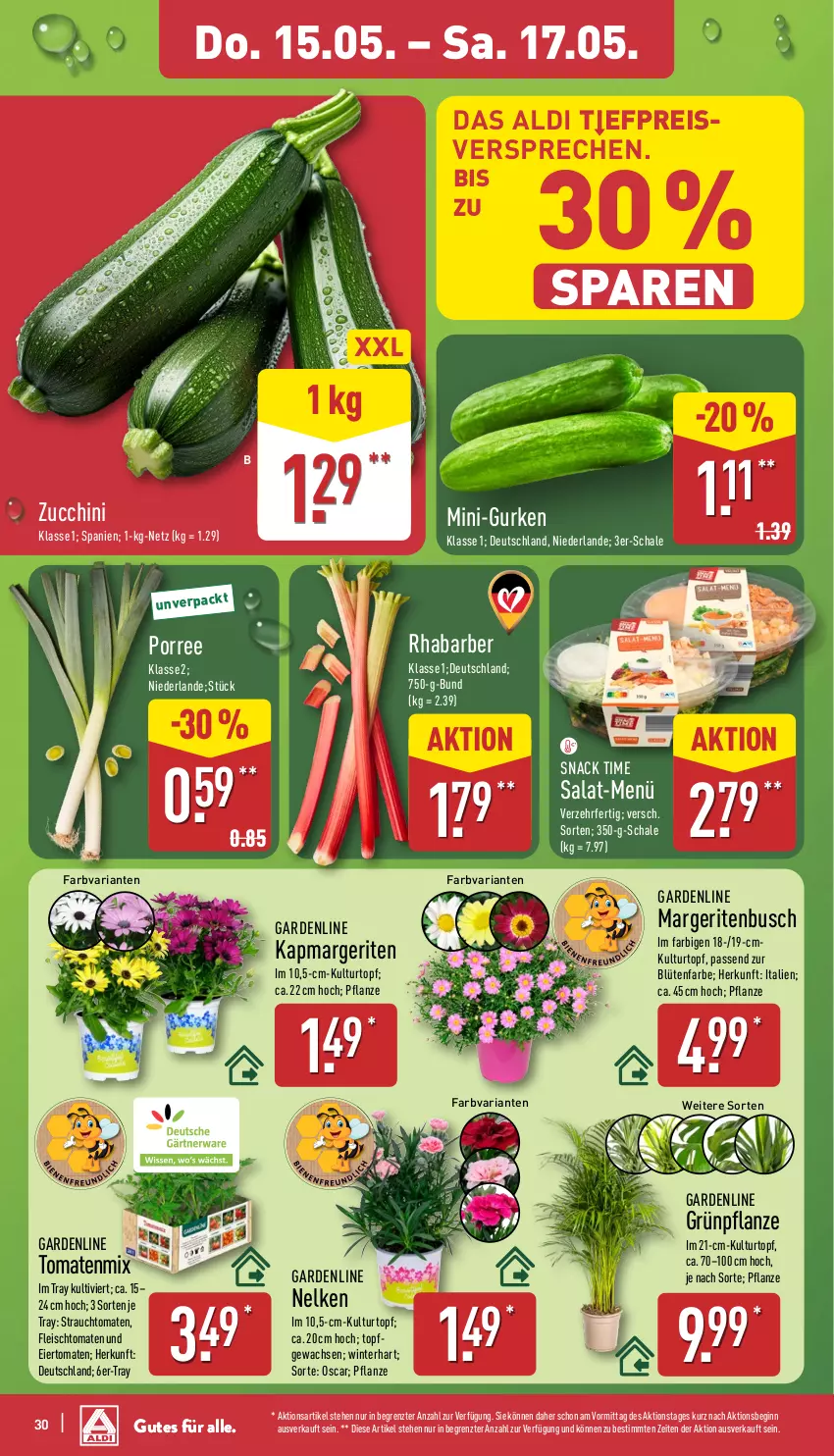 Aktueller Prospekt Aldi Nord - Von Montag - von 12.05 bis 17.05.2025 - strona 30 - produkty: aldi, Blüte, Brei, eier, eis, fleisch, gin, gurke, gurken, kulturtopf, Maus, mini-gurken, pflanze, Rauch, reis, rhabarber, Ria, salat, Schal, Schale, snack, snack time, strauchtomaten, Ti, tomate, tomaten, topf, ZTE, zucchini