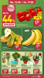 Gazetka promocyjna Aldi Nord - Von Montag - Gazetka - ważna od 17.05 do 17.05.2025 - strona 3 - produkty: banane, bananen, Birnen, Blüte, Brei, dip, dipladenia, eis, gin, kulturtopf, lavendel, LG, pflanze, pflanzen, reis, Ria, rispentomaten, Schal, Schale, tafelbirnen, Ti, tomate, tomaten, topf, Vase, ZTE