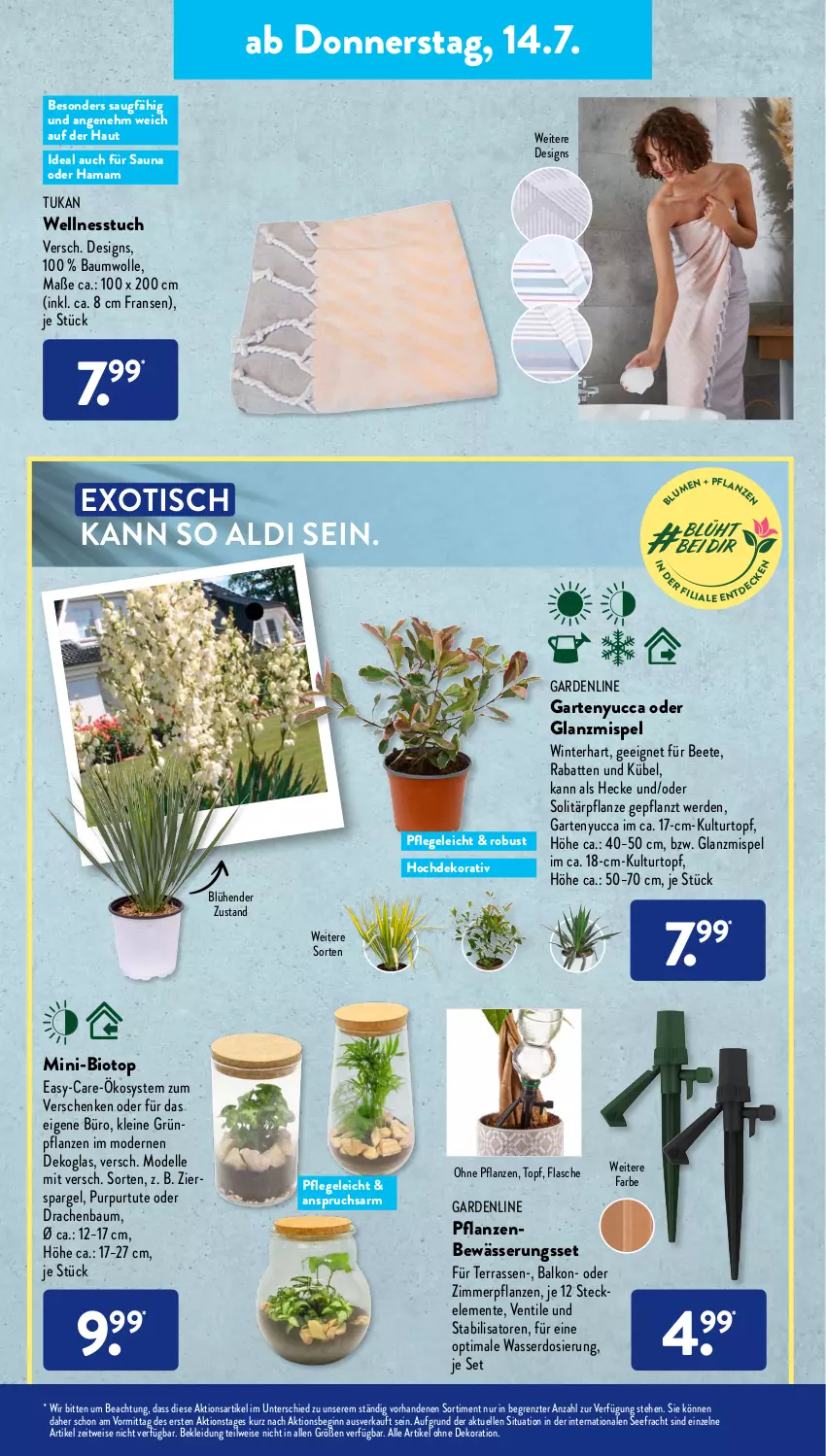 Aktueller Prospekt AldiSud - IN ZWEI WOCHEN - von 11.07 bis 16.07.2022 - strona 19 - produkty: aldi, alle artikel ohne dekoration, Bau, baumwolle, bio, dekoration, dell, eis, elle, ente, erde, flasche, Garten, gin, Grünpflanzen, hama, kleid, Kleidung, kulturtopf, Laufsocken, leine, mam, Mode, pflanze, pflanzen, socken, spargel, Ti, tisch, topf, tuc, wasser, Wellnesstuch, wolle, ZTE