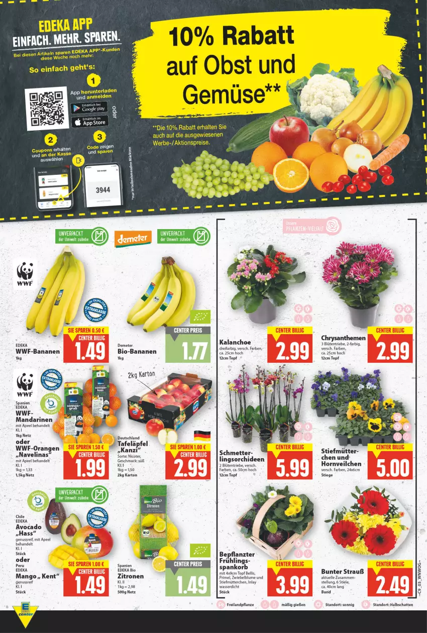 Aktueller Prospekt E Center - Angebote der Woche - von 28.02 bis 05.03.2022 - strona 3 - produkty: aktionspreis, avocado, banane, bananen, bio, bio-bananen, blume, Blüte, chrysanthemen, deka, edeka bio, eis, elinas, elle, Kalanchoe, korb, mac, mandarine, mandarinen, mango, Mett, navelina, nuss, obst, orange, orangen, orchidee, orchideen, pflanze, reis, Ti, topf, wasser, zitrone, zitronen, ZTE, zwiebel