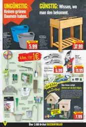 Gazetka promocyjna E Center - Angebote der Woche - Gazetka - ważna od 05.03 do 05.03.2022 - strona 15 - produkty: blume, blumen, boss, braun, brut, bügel, deka, eier, eis, fliegengitter, Frosch, Garten, Holz, korb, LG, Liege, massivholz, messer, Mett, papier, Pflanztopf, Ria, Schere, schlauch, Schmetterling, Schütze, Ti, topf, Wanne, wasser