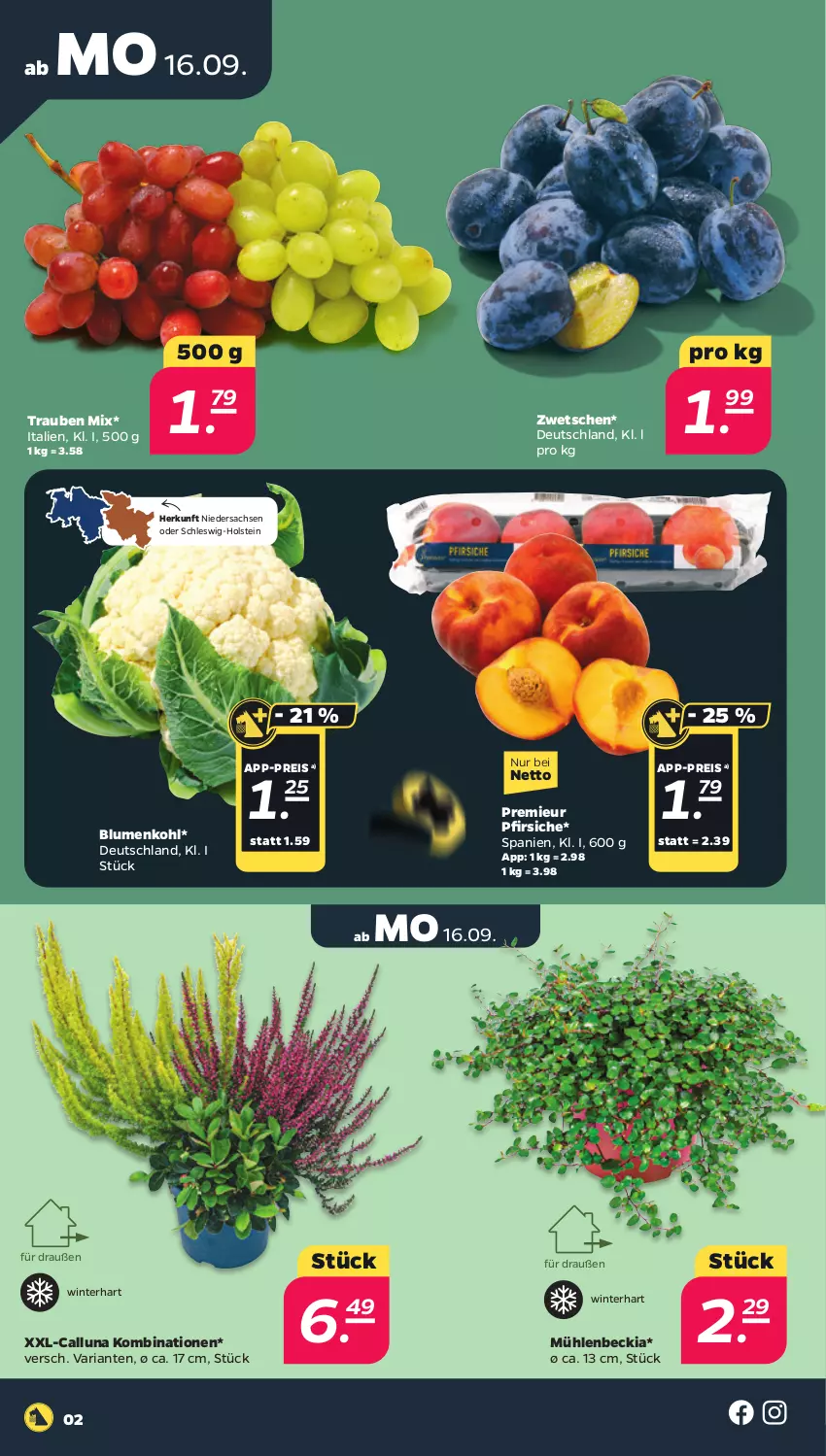 Aktueller Prospekt Netto - Woche 38 - von 16.09 bis 21.09.2024 - strona 2 - produkty: blume, blumen, blumenkohl, eis, pfirsich, pfirsiche, reis, Ria, sac, Ti, trauben