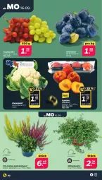 Gazetka promocyjna Netto - Woche 38 - Gazetka - ważna od 21.09 do 21.09.2024 - strona 2 - produkty: blume, blumen, blumenkohl, eis, pfirsich, pfirsiche, reis, Ria, sac, Ti, trauben