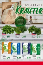 Gazetka promocyjna Selgros - Gastronomie - Gazetka - ważna od 22.02 do 22.02.2023 - strona 10 - produkty: basilikum, beutel, eis, gurke, gurken, gurkensalat, Kraut, küche, Küchen, LG, mac, petersilie, regal, reis, salat, salate, Schal, Schale, schnittlauch, Ti