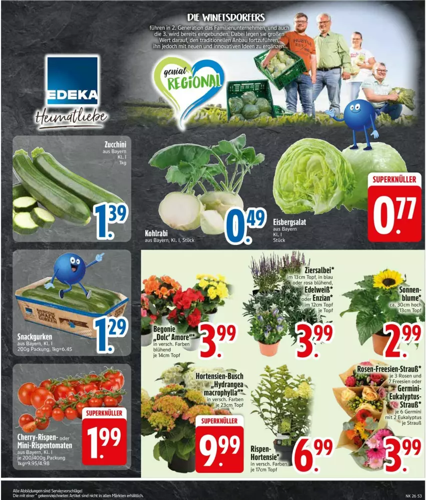 Aktueller Prospekt Edeka - Prospekte - von 23.06 bis 28.06.2025 - strona 3 - produkty: Bau, elle, Germ, hortensie, kohlrabi, Ti, topf