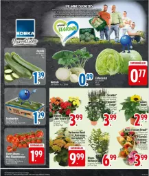 Gazetka promocyjna Edeka - Prospekte - Gazetka - ważna od 28.06 do 28.06.2025 - strona 3 - produkty: Bau, elle, Germ, hortensie, kohlrabi, Ti, topf