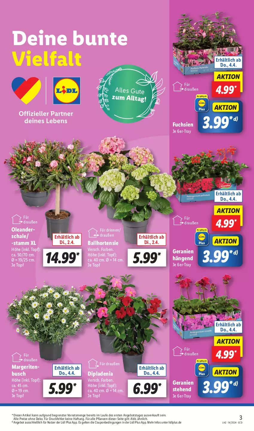 Aktueller Prospekt Lidl - Aktionsprospekt - von 02.04 bis 06.04.2024 - strona 3 - produkty: angebot, ball, coupon, dip, dipladenia, eis, geranie, geranien, hortensie, pflanze, pflanzen, reis, Schal, Schale, Ti, topf, ZTE