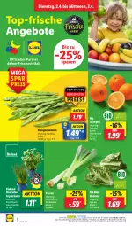 Gazetka promocyjna Lidl - Aktionsprospekt - Gazetka - ważna od 06.04 do 06.04.2024 - strona 2 - produkty: angebot, angebote, basilikum, bio, bioland, bohne, bohnen, coupon, eis, kräuter, ndk, orange, orangen, petersilie, reis, Schal, Schale, schnittlauch, Ti, topf, Topfkräuter