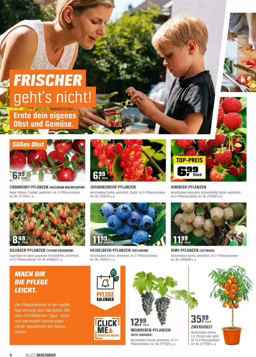 Aktueller Prospekt Obi - Prospekte - von 03.05 bis 15.05.2022 - strona 4 - produkty: ACC, apfel, Container, cranberry, kiwi, mac, obst, pfirsich, pflanze, pflanzen, rum, Ti, vita, wein