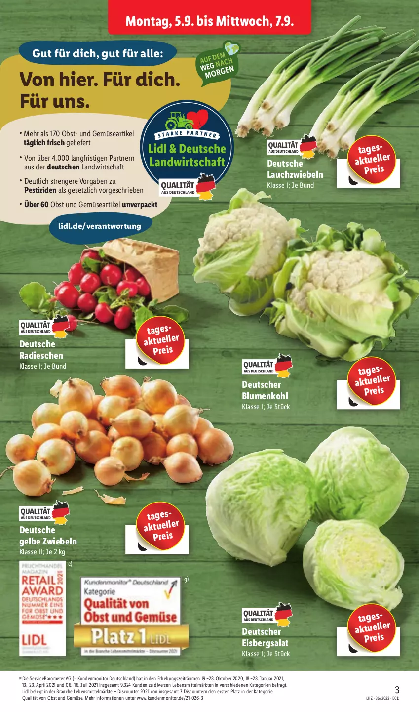 Aktueller Prospekt Lidl - Aktionsprospekt - von 05.09 bis 10.09.2022 - strona 3 - produkty: blume, blumen, blumenkohl, discount, eis, eisbergsalat, elle, Lauchzwiebel, lauchzwiebeln, lebensmittel, monitor, obst, Obst und Gemüse, pril, radieschen, reis, salat, Ti, und gemüse, zwiebel, zwiebeln