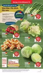 Gazetka promocyjna Lidl - Aktionsprospekt - Gazetka - ważna od 10.09 do 10.09.2022 - strona 3 - produkty: blume, blumen, blumenkohl, discount, eis, eisbergsalat, elle, Lauchzwiebel, lauchzwiebeln, lebensmittel, monitor, obst, Obst und Gemüse, pril, radieschen, reis, salat, Ti, und gemüse, zwiebel, zwiebeln