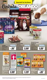 Gazetka promocyjna Lidl - Aktionsprospekt - Gazetka - ważna od 10.09 do 10.09.2022 - strona 53 - produkty: alleinfuttermittel, angebot, auer, Coshida, eis, Geflügel, Hundetrockennahrung, nuggets, reis, snack, snacks, Ti, Trockennahrung, würstchen, ZTE