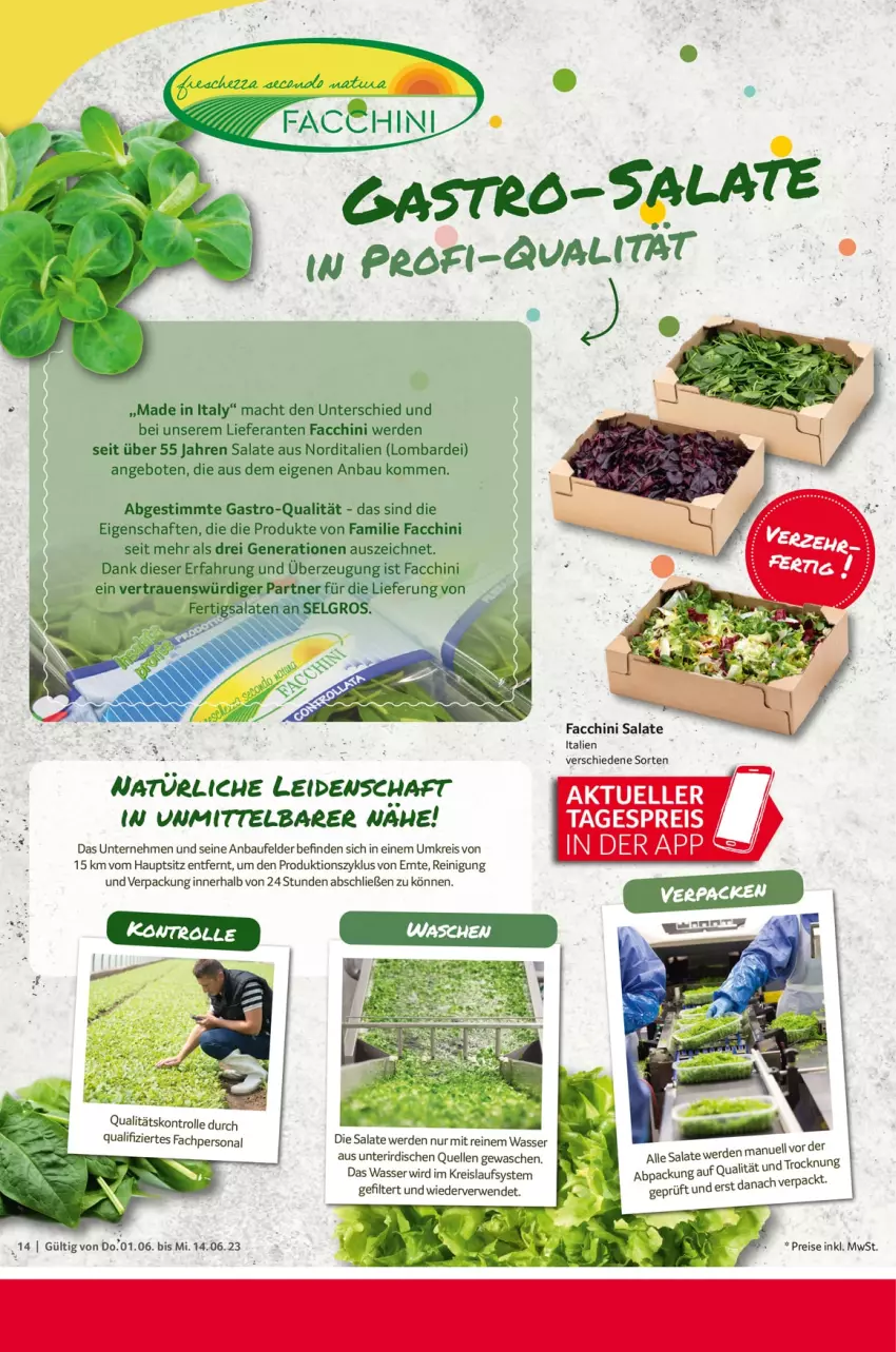 Aktueller Prospekt Selgros - Gastronomie - von 01.06 bis 14.06.2023 - strona 14 - produkty: ACC, angebot, angebote, Bau, eis, elle, erde, Fertigsalat, HP, LG, mac, Persona, Reinigung, reis, rwe, salat, salate, Ti, wasser