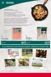 Gazetka promocyjna Selgros - Gastronomie - Gazetka - ważna od 14.06 do 14.06.2023 - strona 12 - produkty: beutel, buch, eis, ente, erde, garnelen, Heu, lack, reis, Schal, Schale, Ti, tisch