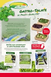 Gazetka promocyjna Selgros - Gastronomie - Gazetka - ważna od 14.06 do 14.06.2023 - strona 14 - produkty: ACC, angebot, angebote, Bau, eis, elle, erde, Fertigsalat, HP, LG, mac, Persona, Reinigung, reis, rwe, salat, salate, Ti, wasser