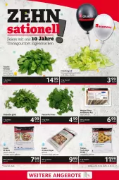 Gazetka promocyjna Selgros - Gastronomie - Gazetka - ważna od 14.06 do 14.06.2023 - strona 7 - produkty: beutel, eier, eis, eisbergsalat, filet, filets, fisch, kräuter, matjes, natur, petersilie, reifen, reis, ring, salat, Schal, Schale, schnitten, Ti