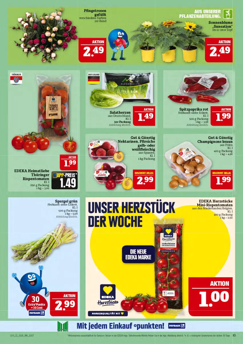 Aktueller Prospekt Marktkauf - Prospekt - von 25.05 bis 31.05.2025 - strona 13 - produkty: aktionspreis, blume, braun, champignon, champignons, champignons braun, deka, eis, LG, mini-rispentomaten, Nektar, nektarinen, nuss, paprika, paprika rot, Pfingstrosen, pfirsich, pfirsiche, reis, ring, rispentomaten, rosen, salat, salatherzen, sonnenblume, spargel, spargel grün, Spitzpaprika, Ti, tomate, tomaten, topf, ZTE