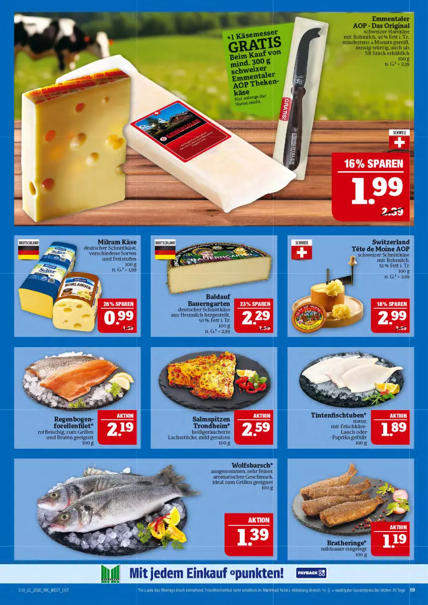 Aktueller Prospekt Marktkauf - Prospekt - von 25.05 bis 31.05.2025 - strona 19 - produkty: auer, Bau, Bauer, braten, Bratheringe, deutscher schnittkäse, eis, elle, emmentaler, filet, fisch, fleisch, forelle, frischfisch, frischkäse, Garten, gin, grill, hartkäse, hering, Heu, heumilch, ideal zum grillen, Käse, lachs, mac, milch, milram, natur, nuss, paprika, reis, rel, ring, salz, schnittkäse, schweizer hartkäse, schweizer schnittkäse, Ti, tisch, wolfsbarsch, ZTE