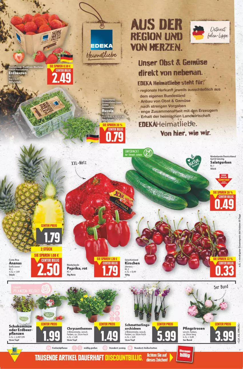 Aktueller Prospekt E Center - Angebote der Woche - von 20.06 bis 25.06.2022 - strona 2 - produkty: ananas, Bau, Blüte, chrysanthemen, deka, eis, gurke, gurken, kirsch, kirsche, kirschen, Mett, obst, orchidee, orchideen, paprika, Pfingstrosen, pflanze, reis, rosen, salat, Salatgurke, salatgurken, Schmetterling, schoko, Ti, topf, Yo, ZTE