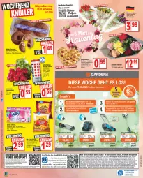 Gazetka promocyjna Edeka - Angebote der Woche - Gazetka - ważna od 11.03 do 11.03.2023 - strona 16 - produkty: akku, angebot, angebote, aqua, arla, auer, beutel, creme, deka, deutschlandcard, Donut, donuts, drink, Effect, eis, elle, Engel, gin, LG, Liege, mc cain, milka, papier, Plunder, radieschen, rasen, rasenmäher, reis, rel, schlauch, telefon, teller, Thea, Ti, uhr, vanille, Weste, zewa, ZTE