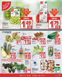Gazetka promocyjna Edeka - Angebote der Woche - Gazetka - ważna od 11.03 do 11.03.2023 - strona 3 - produkty: banane, bananen, beere, beeren, beutel, bio, braun, champignon, champignons, deka, erdbeere, erdbeeren, fenchel, gurke, gurken, mandarine, mandarinen, salat, Salatgurke, salatgurken, Schal, Schale, tafeltrauben, Ti, trauben