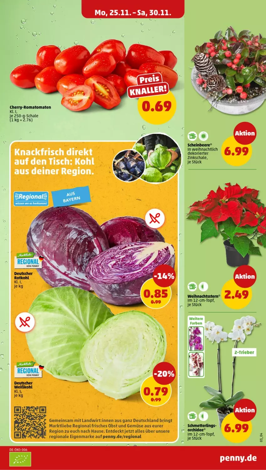 Aktueller Prospekt Penny - Prospekte - von 25.11 bis 30.11.2024 - strona 3 - produkty: beere, Mett, obst, Obst und Gemüse, ring, Schal, Schale, Schmetterling, topf, und gemüse, Weihnachtsstern, Weißkohl