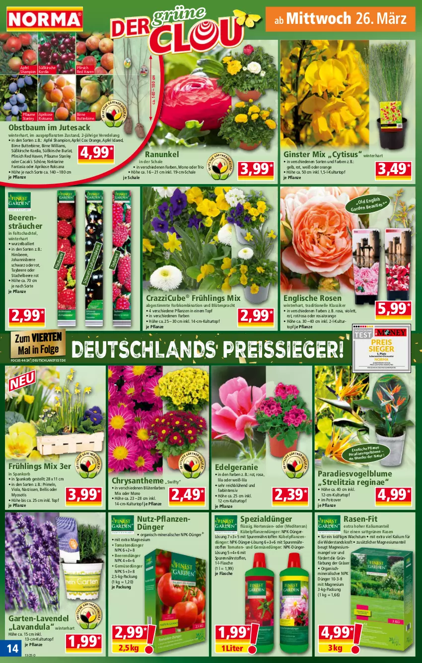 Aktueller Prospekt Norma - Norma - von 24.03 bis 31.03.2025 - strona 14 - produkty: apfel, aprikose, ball, Bau, beere, beeren, blume, Blüte, butter, dünger, eis, elle, fanta, flasche, Garten, Gemüsedünger, geranie, gin, himbeer, himbeere, hortensie, hortensien, johannisbeere, kirsch, kirsche, korb, kraft, kübelpflanzen, kulturtopf, lavendel, LG, magnesium, Narzissen, natur, Nektar, obst, orange, pfirsich, pflanze, pflanzen, pflaume, Primeln, rasen, reis, reiss, rel, rosen, sac, sana, Schal, Schale, Spezi, tesa, Ti, tisch, tomate, tomaten, topf, und gemüse, Yo, ZTE