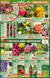 Gazetka promocyjna Norma - Norma - Gazetka - ważna od 31.03 do 31.03.2025 - strona 14 - produkty: apfel, aprikose, ball, Bau, beere, beeren, blume, Blüte, butter, dünger, eis, elle, fanta, flasche, Garten, Gemüsedünger, geranie, gin, himbeer, himbeere, hortensie, hortensien, johannisbeere, kirsch, kirsche, korb, kraft, kübelpflanzen, kulturtopf, lavendel, LG, magnesium, Narzissen, natur, Nektar, obst, orange, pfirsich, pflanze, pflanzen, pflaume, Primeln, rasen, reis, reiss, rel, rosen, sac, sana, Schal, Schale, Spezi, tesa, Ti, tisch, tomate, tomaten, topf, und gemüse, Yo, ZTE