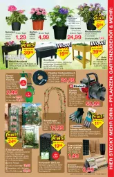 Gazetka promocyjna Jawoll - Prospekte - Gazetka - ważna od 02.04 do 02.04.2022 - strona 7 - produkty: blume, blumen, brause, brut, Container, eis, flasche, Garten, gartennelke, Gartenpumpe, gartenschlauch, geranie, geranien, Gewächshaus, handbrause, handschuhe, Holz, hortensie, Komposter, kräuter, latte, pflanze, pflanzen, reis, riegel, rosen, schlauch, schuhe, sprühflasche, Ti, topf