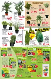 Gazetka promocyjna Jawoll - Prospekte - Gazetka - ważna od 02.04 do 02.04.2022 - strona 8 - produkty: ball, Bau, berliner, blume, blumen, blumenerde, decke, dünger, elle, erde, Garten, kräuter, lavendel, natur, olive, orange, Pellets, pflanze, pflanzerde, rasen, rasendünger, rasensamen, rind, ritter, rosen, rosmarin, sac, Sport, Ti, topf, zitrone