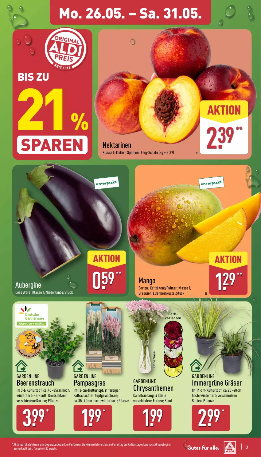 Aktueller Prospekt Aldi Nord - Von Montag - von 26.05 bis 31.05.2025 - strona 3 - produkty: aubergine, beere, beeren, Blüte, Brei, chrysanthemen, gin, kulturtopf, mango, Nektar, nektarinen, pflanze, Rauch, Ria, Schal, Schale, Ti, topf, Vase, ZTE