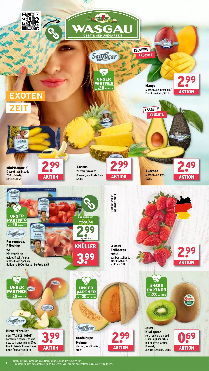 Aktueller Prospekt Wasgau - von 10.06 bis 14.06.2025 - strona 8 - produkty: ananas, angebot, aqua, avocado, banane, bananen, beere, beeren, beutel, Calcium, eis, Elan, elle, erdbeere, erdbeeren, fleisch, forelle, frucht, früchte, fruchtfleisch, kiwi, mango, melone, Nektar, nektarinen, pfirsich, pfirsiche, reis, rel, Schal, Schale, Ti, Yo, zespri