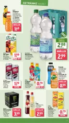 Gazetka promocyjna Wasgau - Gazetka - ważna od 14.06 do 14.06.2025 - strona 19 - produkty: Alwa, amecke, drink, eis, elle, flasche, frucht, früchte, fruchtsaft, fruchtsaftgetränk, Gesundheit, getränk, getränke, gin, granini, ice tea, lipton, lipton ice tea, mineralwasser, monster, Monster Energy, nuss, pet-flasche, pet-flaschen, reis, saft, säfte, sirup, tee, Ti, volvic, wasser, Yo