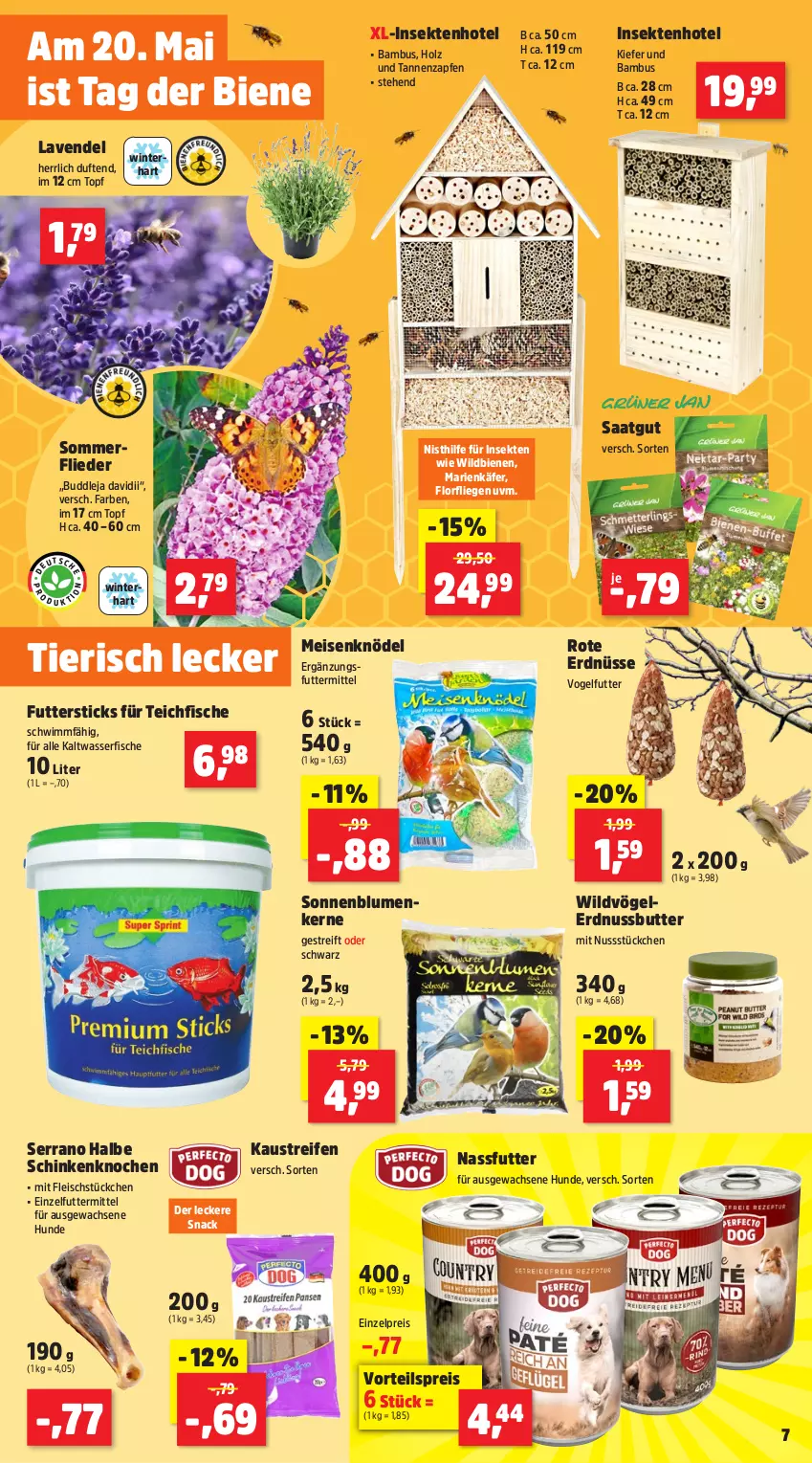 Aktueller Prospekt Thomas Philipps - von 13.05 bis 18.05.2024 - strona 11 - produkty: aust, bambus, blume, blumen, butter, eis, erdnuss, Erdnussbutter, erdnüsse, fisch, fische, fleisch, flieder, Holz, käfer, Kaustreifen, Knödel, lavendel, Liege, Meisenknödel, nassfutter, nuss, reifen, reis, schinken, sekt, serrano, snack, sonnenblume, sonnenblumen, Sonnenblumenkerne, Ti, topf, Vogelfutter, vorteilspreis, wasser, Wild