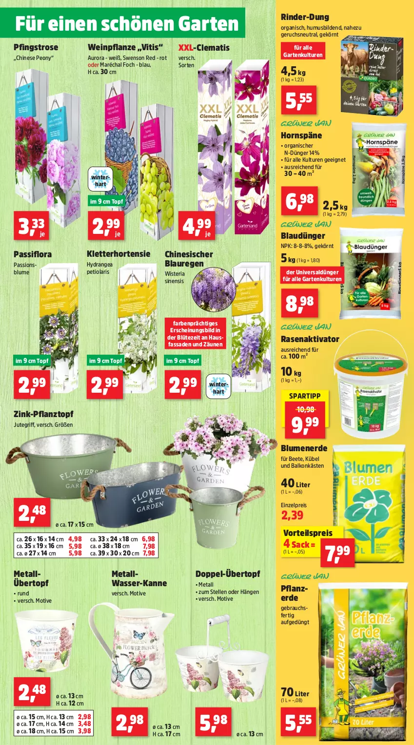 Aktueller Prospekt Thomas Philipps - von 13.05 bis 18.05.2024 - strona 3 - produkty: blume, blumen, blumenerde, Blüte, dünger, eis, elle, erde, Garten, hortensie, hydrangea, Passiflora, pflanze, pflanzerde, Pflanztopf, rasen, Rauch, reis, Ria, rind, rinder, sac, spartipp, Ti, topf, übertopf, usb, vorteilspreis, wasser, wein