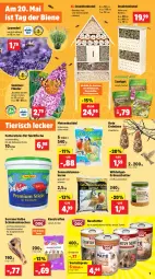 Gazetka promocyjna Thomas Philipps - Gazetka - ważna od 18.05 do 18.05.2024 - strona 11 - produkty: aust, bambus, blume, blumen, butter, eis, erdnuss, Erdnussbutter, erdnüsse, fisch, fische, fleisch, flieder, Holz, käfer, Kaustreifen, Knödel, lavendel, Liege, Meisenknödel, nassfutter, nuss, reifen, reis, schinken, sekt, serrano, snack, sonnenblume, sonnenblumen, Sonnenblumenkerne, Ti, topf, Vogelfutter, vorteilspreis, wasser, Wild