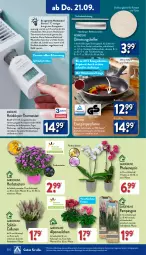 Gazetka promocyjna Aldi Nord - Von Montag - Gazetka - ważna od 23.09 do 23.09.2023 - strona 20 - produkty: adapter, Alpenveilchen, ambia, batterie, batterien, Blüte, Brei, Crofton, dell, eis, elle, fenster, Fenster und Türen, gin, herdarten, kulturtopf, maille, Mode, pfanne, pflanze, pflanzen, phalaenopsis, Ria, ring, Schal, thermostat, Ti, topf, ZTE