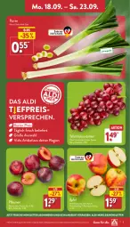 Gazetka promocyjna Aldi Nord - Von Montag - Gazetka - ważna od 23.09 do 23.09.2023 - strona 3 - produkty: aldi, angebot, eis, pflaume, pflaumen, reis, Schal, Schale, tafeltrauben, Ti, trauben, ZTE