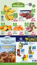 Gazetka promocyjna Wasgau - Gazetka - ważna od 07.03 do 07.03.2026 - strona 4 - produkty: ananas, angebot, auer, avocado, banane, bananen, Bau, beutel, Datteln, eis, gewinnspiel, mandarine, mandarinen, mango, natur, orange, orangen, reis, Schal, Schale, Ti, trauben