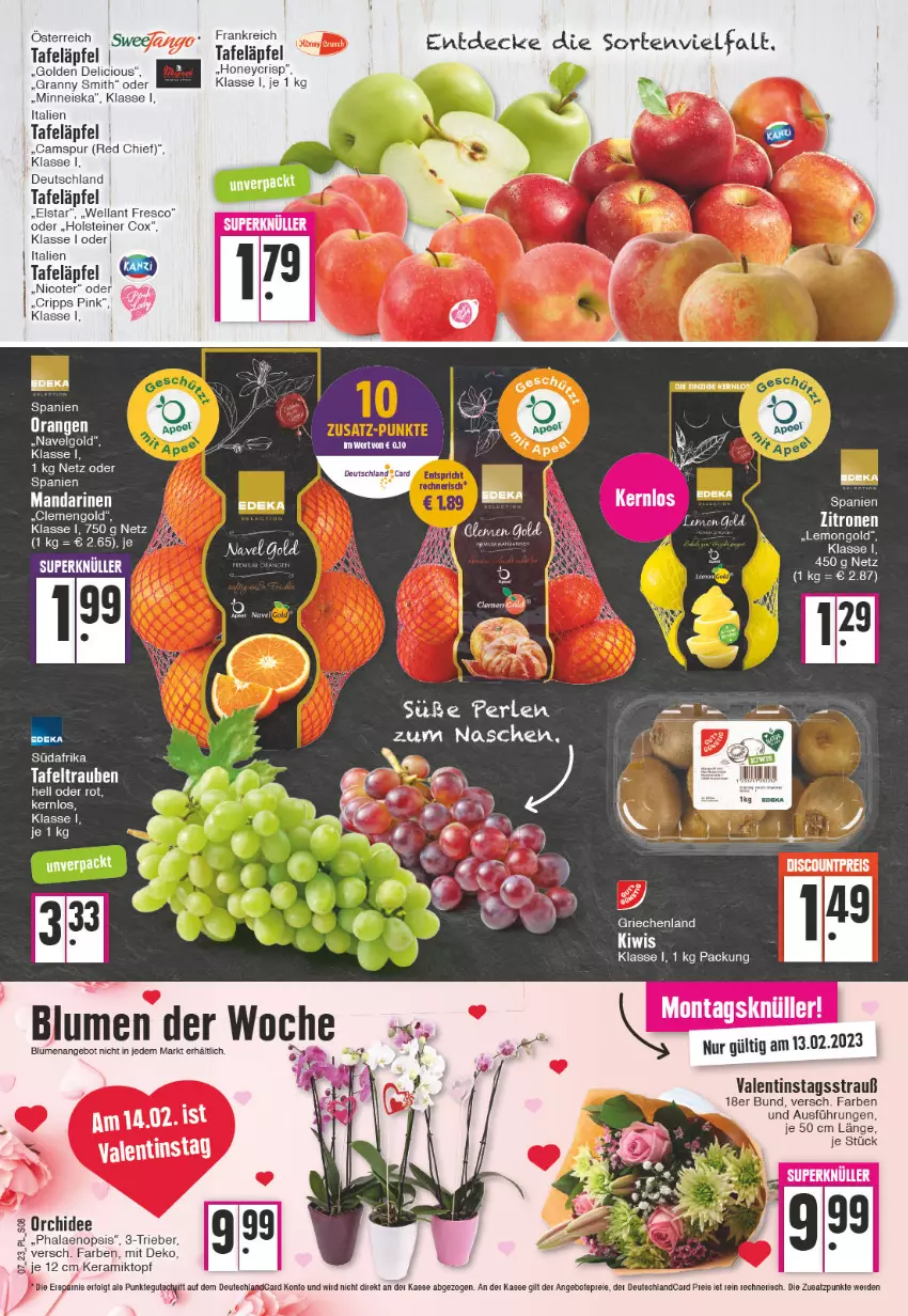 Aktueller Prospekt E Center - Angebote der Woche - von 13.02 bis 18.02.2023 - strona 8 - produkty: angebot, angebote, blume, blumen, decke, eis, erde, holsteiner, kiwi, LG, mandarine, mandarinen, orange, orangen, orchidee, phalaenopsis, reis, steiner, tafeläpfel, tee, Ti, topf, Wella